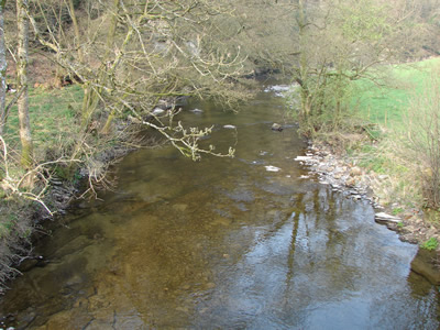 River Edw